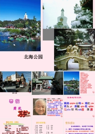 六年级语文上册 第一单元 2《枣核》课件 北京版-北京版小学六年级上册语文课件
