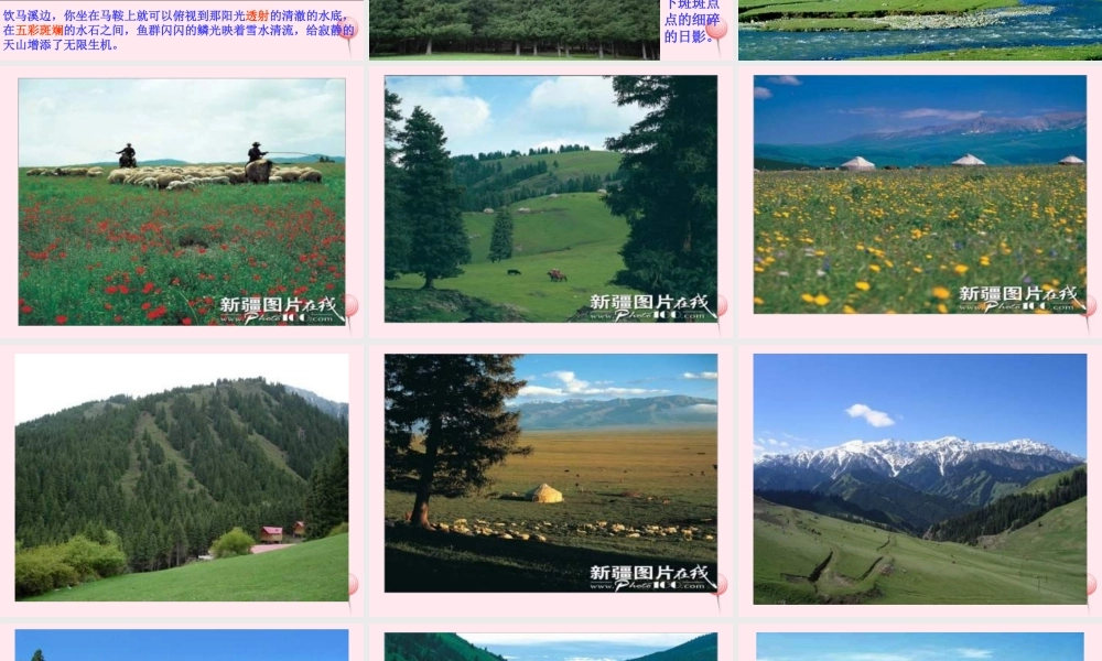 六年级语文上册 第一单元 3《七月的天山》课件 冀教版-冀教版小学六年级上册语文课件