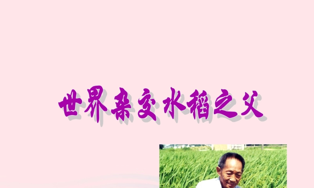 六年级语文上册 第一单元 3《世界杂交水稻之父》课件 北京版-北京版小学六年级上册语文课件