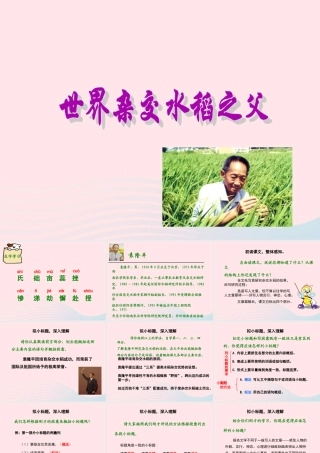 六年级语文上册 第一单元 3《世界杂交水稻之父》课件 北京版-北京版小学六年级上册语文课件