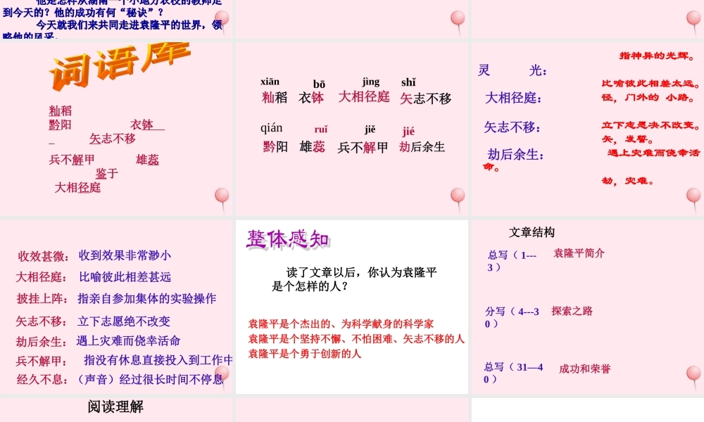 六年级语文上册 第一单元 3《世界杂交水稻之父》同步课件 北京版-北京版小学六年级上册语文课件