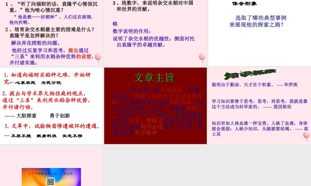 六年级语文上册 第一单元 3《世界杂交水稻之父》同步课件 北京版-北京版小学六年级上册语文课件