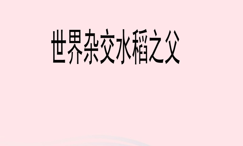 六年级语文上册 第一单元 3《世界杂交水稻之父》优秀课件 北京版-北京版小学六年级上册语文课件