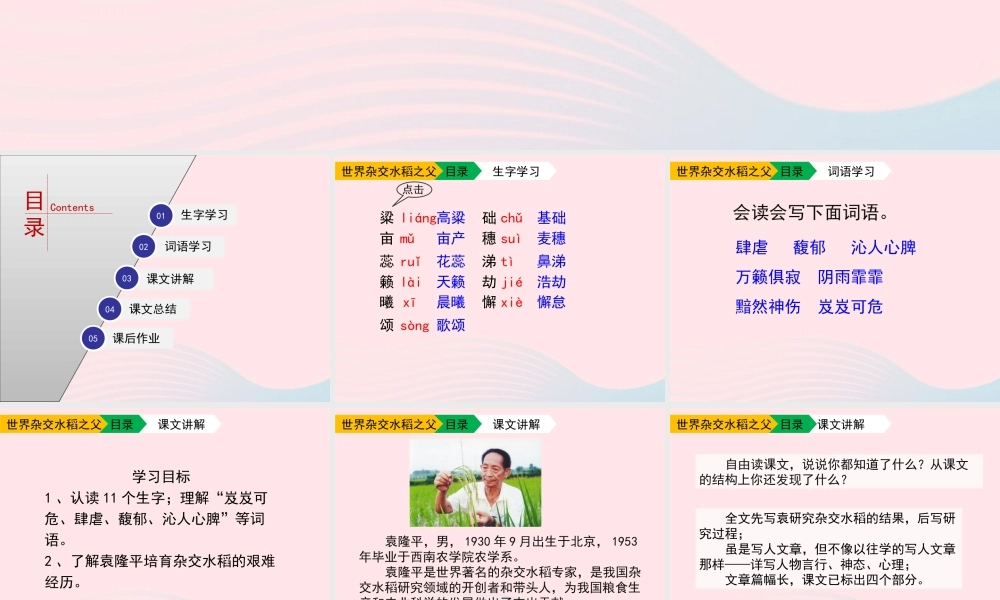 六年级语文上册 第一单元 3《世界杂交水稻之父》优秀课件 北京版-北京版小学六年级上册语文课件