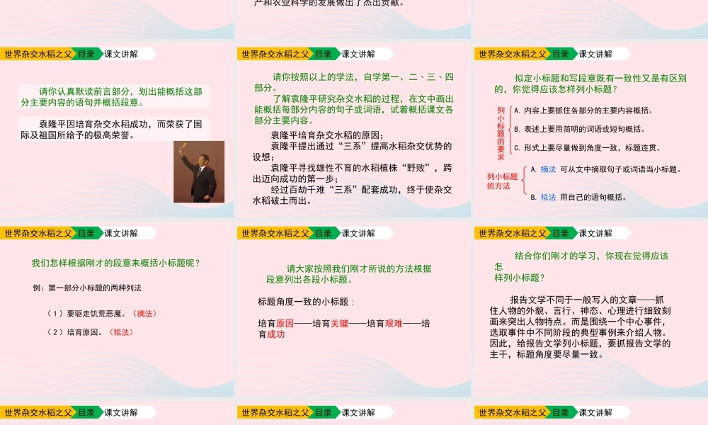 六年级语文上册 第一单元 3《世界杂交水稻之父》优秀课件 北京版-北京版小学六年级上册语文课件