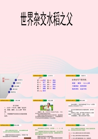 六年级语文上册 第一单元 3《世界杂交水稻之父》优秀课件 北京版-北京版小学六年级上册语文课件