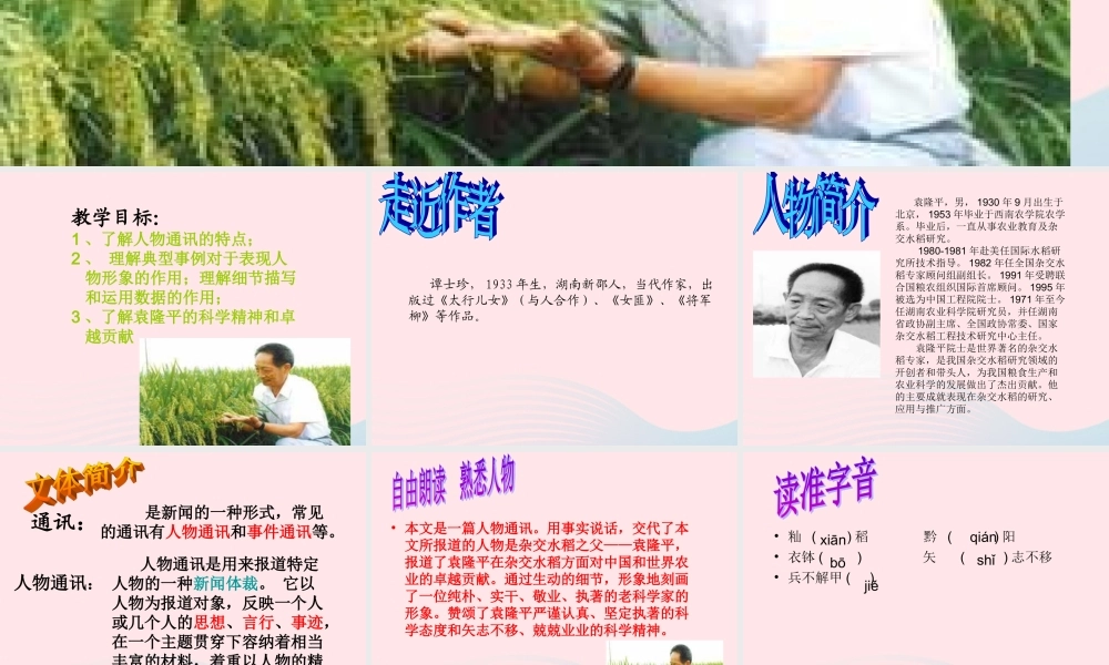 六年级语文上册 第一单元 3《世界杂交水稻之父》原创课件 北京版-北京版小学六年级上册语文课件