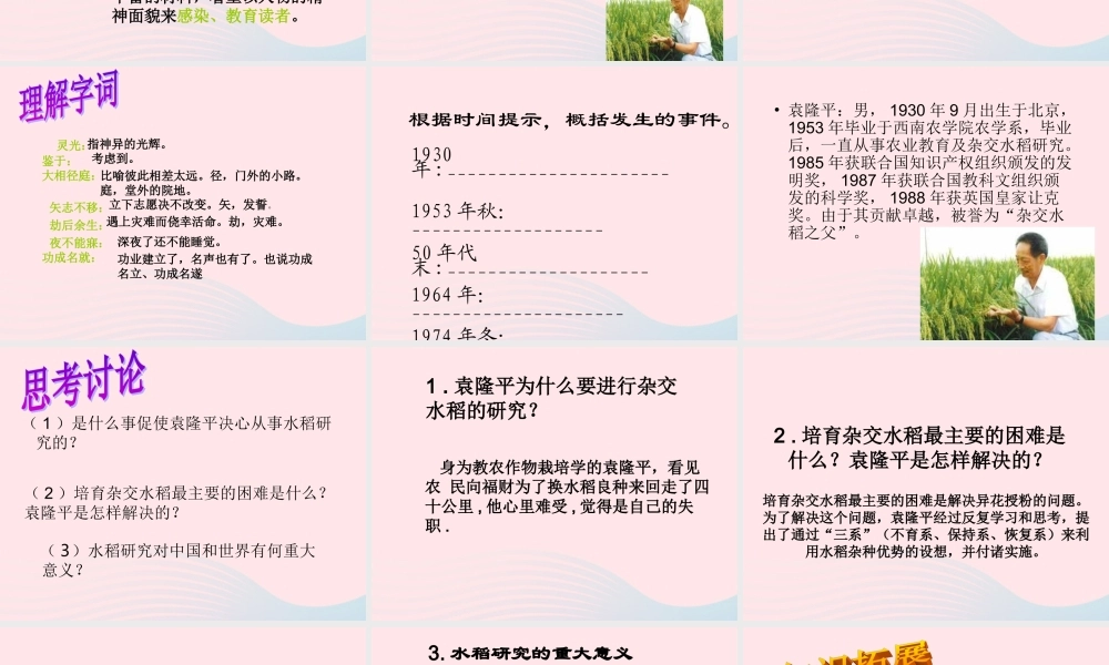 六年级语文上册 第一单元 3《世界杂交水稻之父》原创课件 北京版-北京版小学六年级上册语文课件