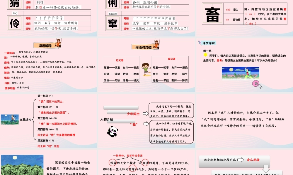 六年级语文上册 第八单元 24 少年闰土教学课件 新人教版-新人教版小学六年级上册语文课件