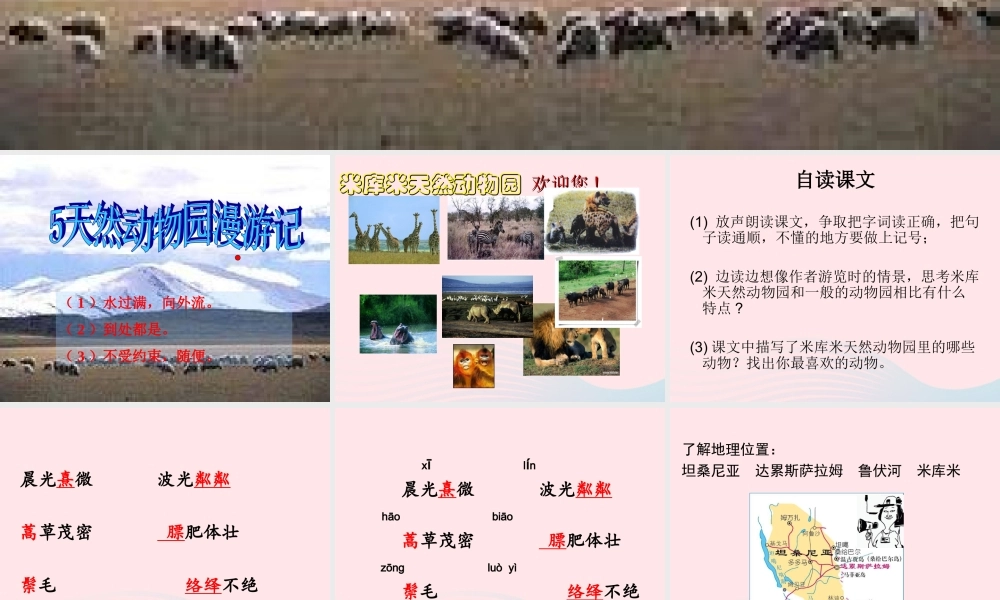 六年级语文上册 第二单元 5《天然动物园漫游记》教学课件 北京版-北京版小学六年级上册语文课件