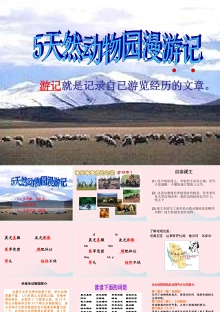六年级语文上册 第二单元 5《天然动物园漫游记》教学课件 北京版-北京版小学六年级上册语文课件