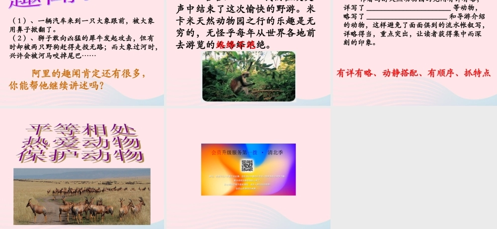 六年级语文上册 第二单元 5《天然动物园漫游记》精品课件 北京版-北京版小学六年级上册语文课件