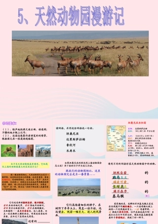 六年级语文上册 第二单元 5《天然动物园漫游记》精品课件 北京版-北京版小学六年级上册语文课件