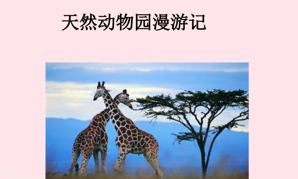 六年级语文上册 第二单元 5《天然动物园漫游记》课件 北京版-北京版小学六年级上册语文课件