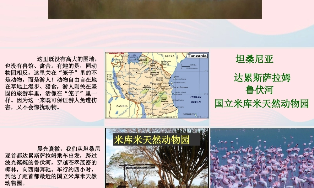 六年级语文上册 第二单元 5《天然动物园漫游记》课件 北京版-北京版小学六年级上册语文课件