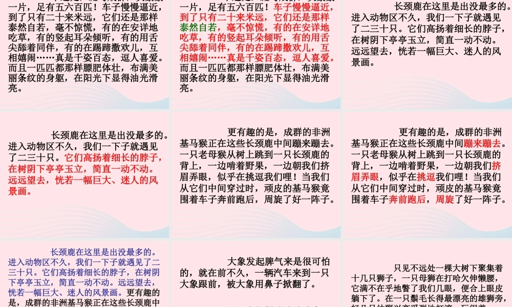六年级语文上册 第二单元 5《天然动物园漫游记》课件 北京版-北京版小学六年级上册语文课件