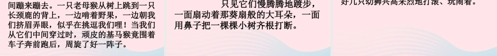六年级语文上册 第二单元 5《天然动物园漫游记》课件 北京版-北京版小学六年级上册语文课件