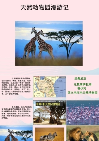 六年级语文上册 第二单元 5《天然动物园漫游记》课件 北京版-北京版小学六年级上册语文课件