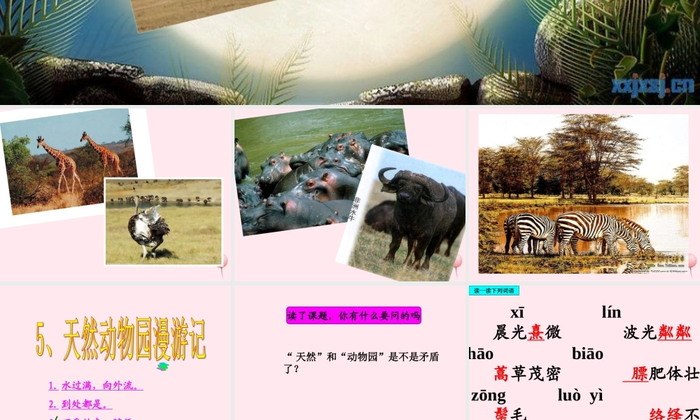 六年级语文上册 第二单元 5《天然动物园漫游记》课件推荐 北京版-北京版小学六年级上册语文课件