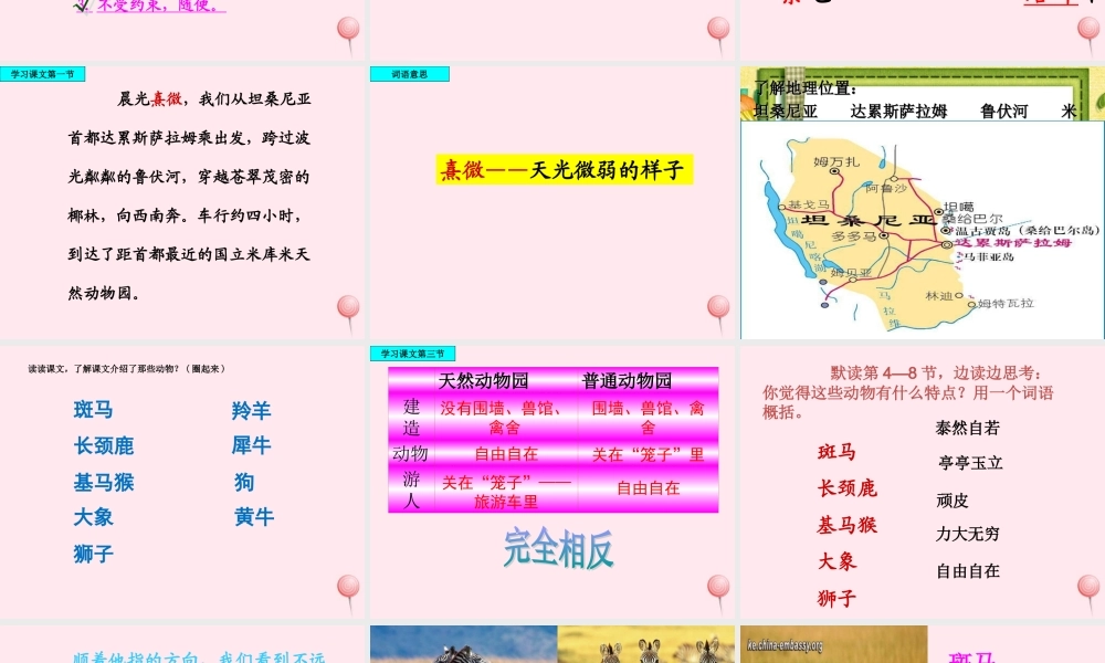 六年级语文上册 第二单元 5《天然动物园漫游记》课件推荐 北京版-北京版小学六年级上册语文课件