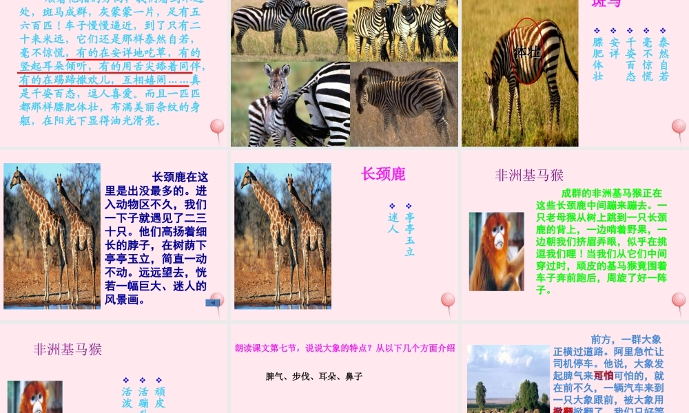 六年级语文上册 第二单元 5《天然动物园漫游记》课件推荐 北京版-北京版小学六年级上册语文课件