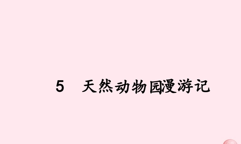 六年级语文上册 第二单元 5《天然动物园漫游记》原创课件 北京版-北京版小学六年级上册语文课件
