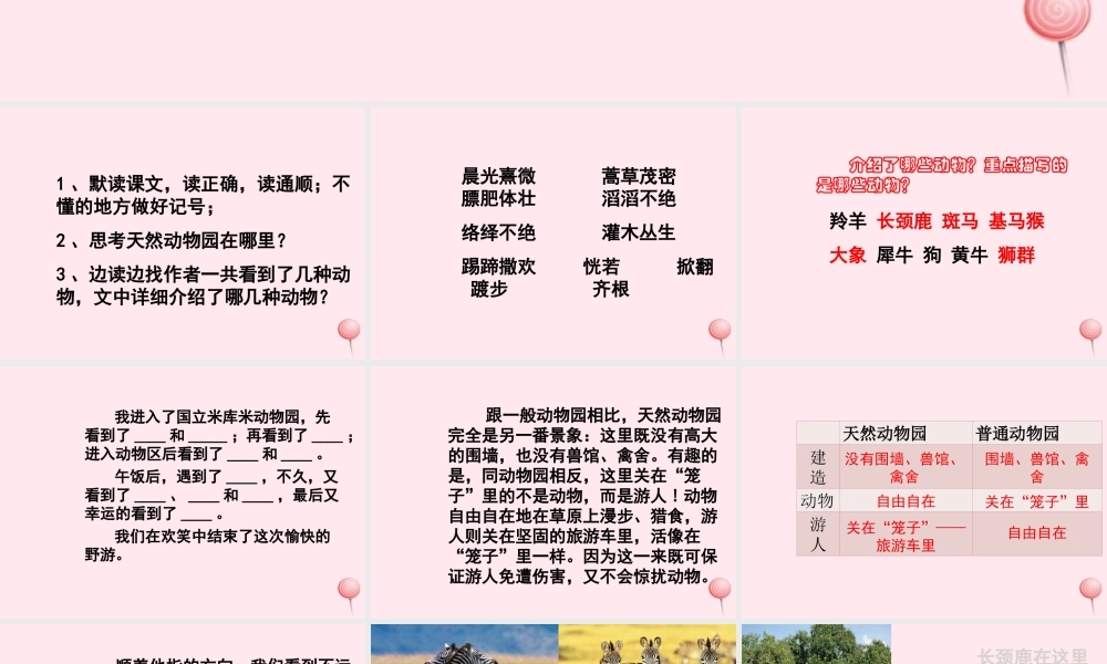 六年级语文上册 第二单元 5《天然动物园漫游记》原创课件 北京版-北京版小学六年级上册语文课件