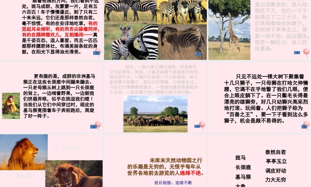 六年级语文上册 第二单元 5《天然动物园漫游记》原创课件 北京版-北京版小学六年级上册语文课件