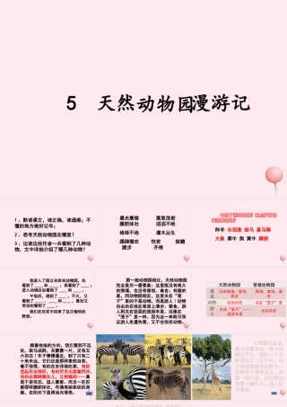 六年级语文上册 第二单元 5《天然动物园漫游记》原创课件 北京版-北京版小学六年级上册语文课件