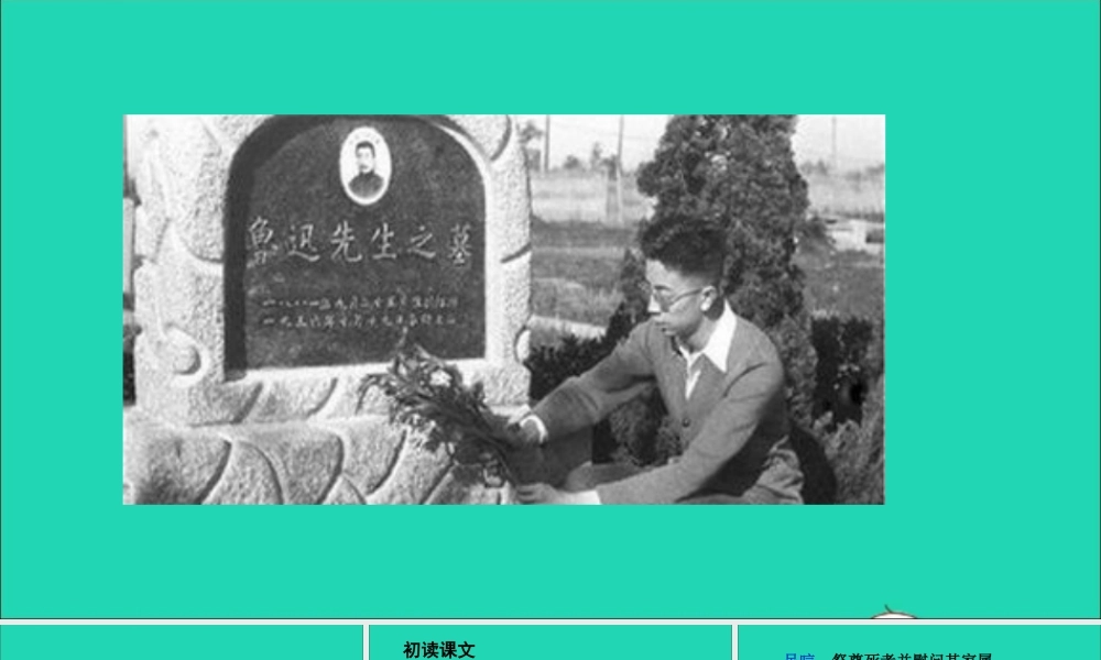 六年级语文上册 第八单元 26 我的伯父鲁迅先生课件