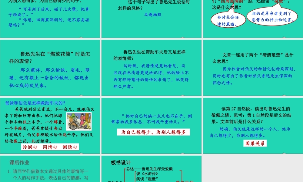六年级语文上册 第八单元 26 我的伯父鲁迅先生课件