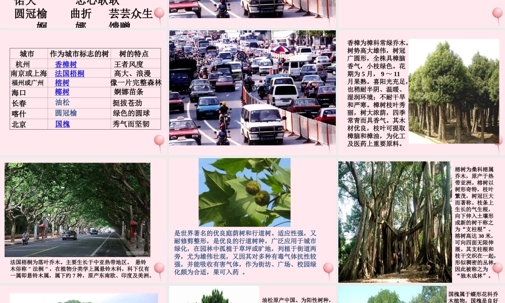 六年级语文上册 第二单元 6《城市的标志》原创课件 北京版-北京版小学六年级上册语文课件