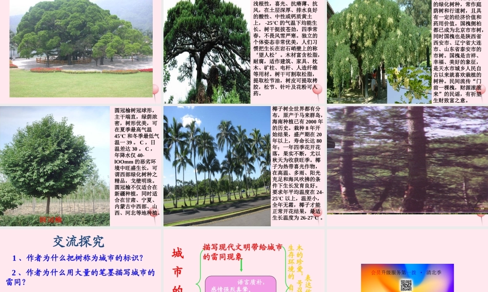 六年级语文上册 第二单元 6《城市的标志》原创课件 北京版-北京版小学六年级上册语文课件