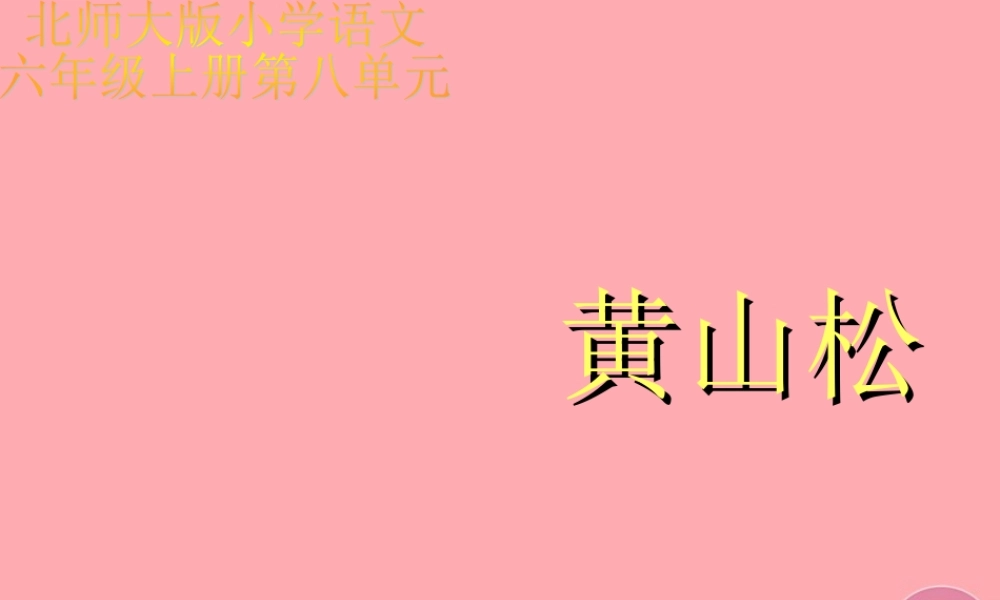 六年级语文上册 第七单元 黄山松课件2 湘教版-湘教版小学六年级上册语文课件