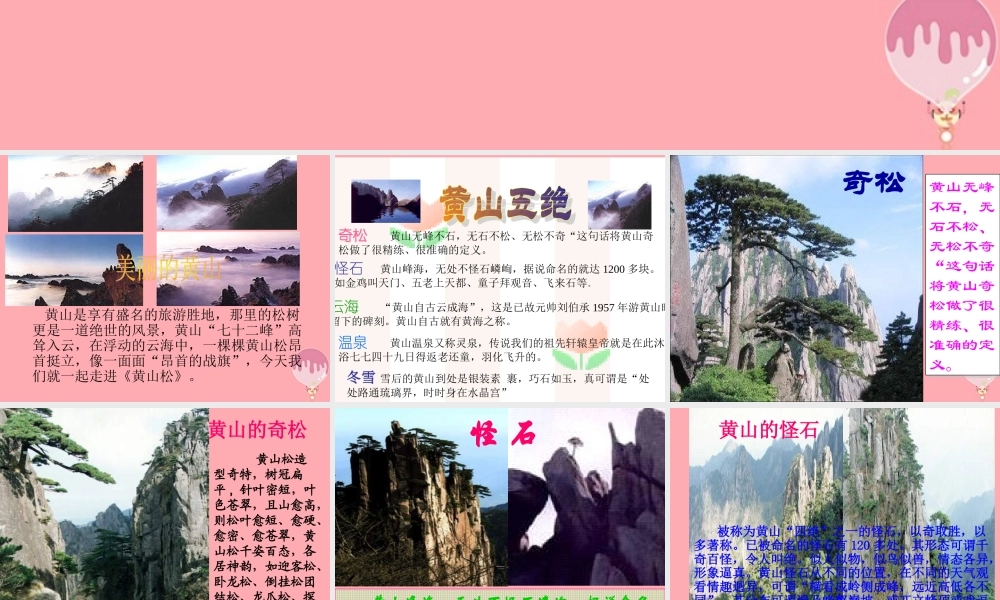 六年级语文上册 第七单元 黄山松课件2 湘教版-湘教版小学六年级上册语文课件