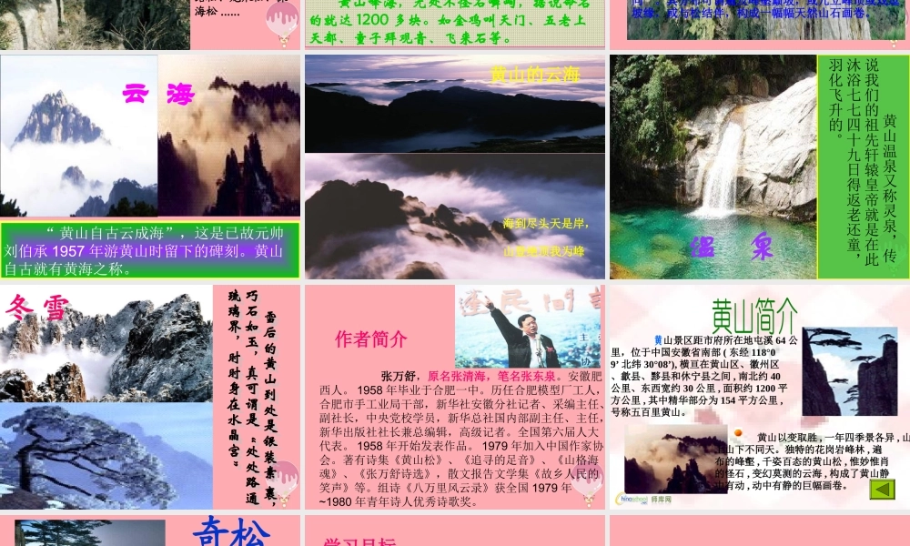 六年级语文上册 第七单元 黄山松课件2 湘教版-湘教版小学六年级上册语文课件