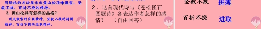 六年级语文上册 第七单元 黄山松课件2 湘教版-湘教版小学六年级上册语文课件
