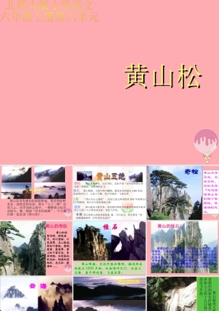 六年级语文上册 第七单元 黄山松课件2 湘教版-湘教版小学六年级上册语文课件