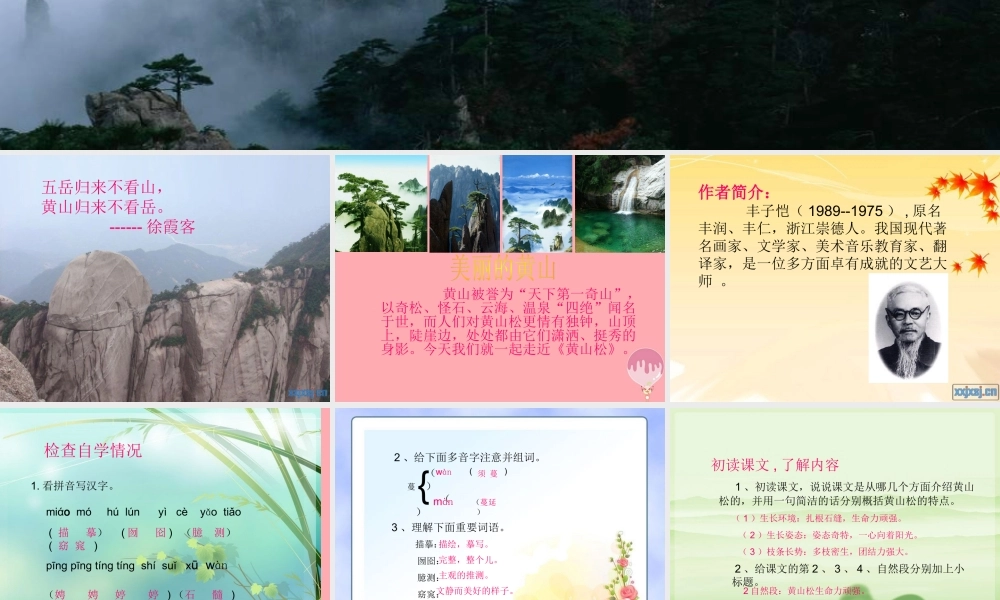 六年级语文上册 第七单元 黄山松课件4 湘教版-人教版小学六年级全册语文课件