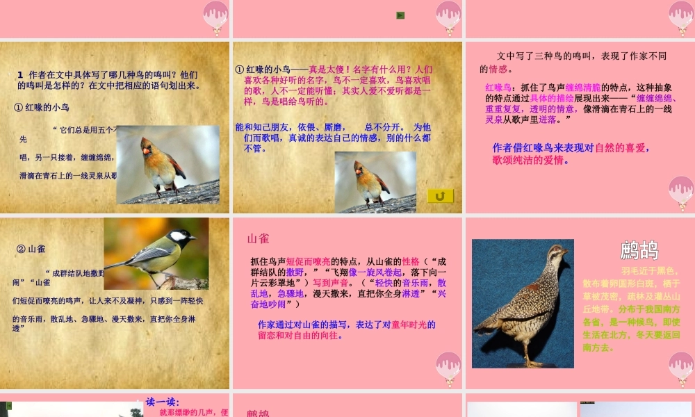 六年级语文上册 第八单元 空山鸟语课件1 湘教版-湘教版小学六年级上册语文课件