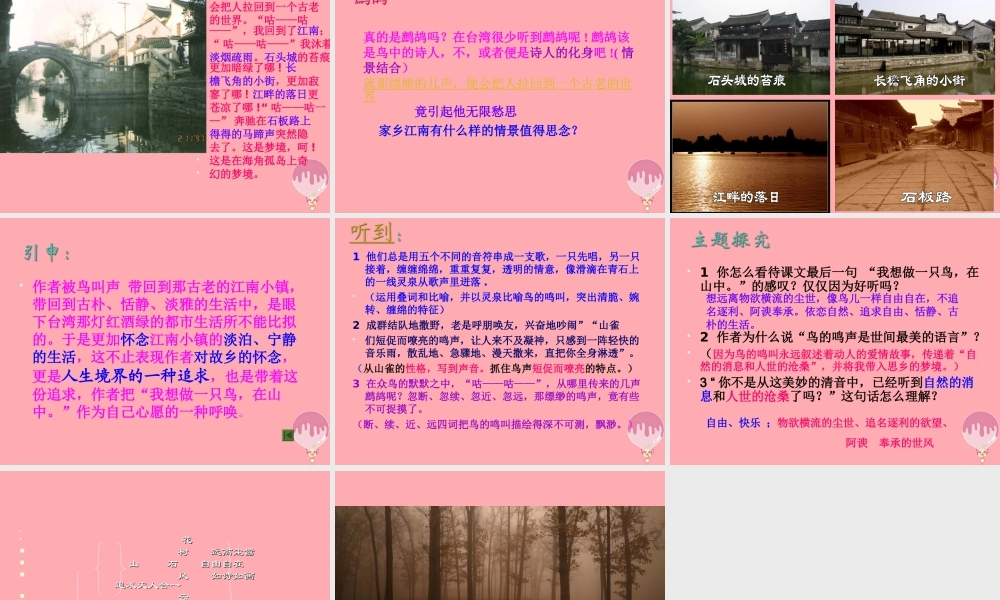 六年级语文上册 第八单元 空山鸟语课件1 湘教版-湘教版小学六年级上册语文课件