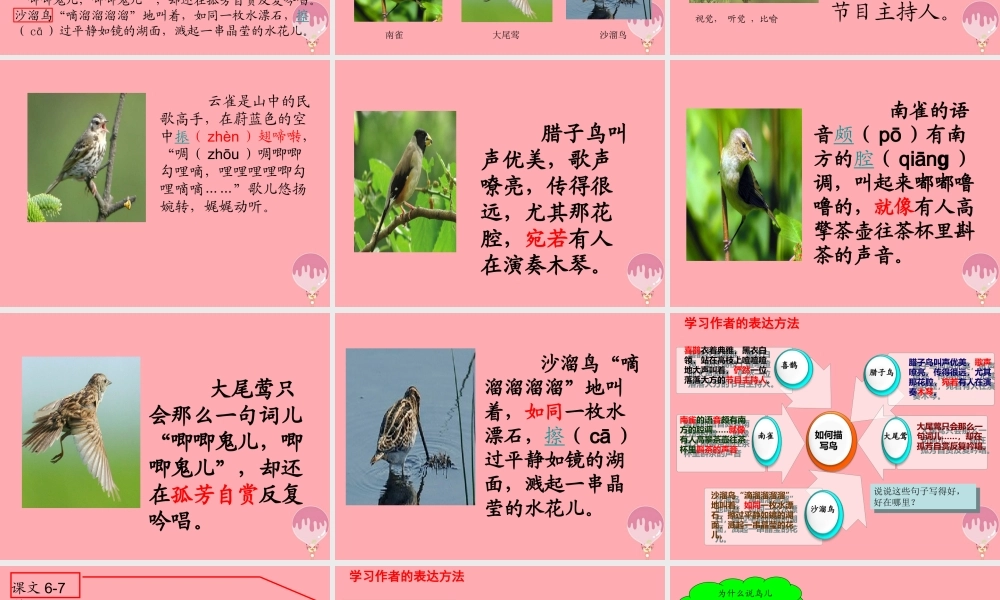 六年级语文上册 第八单元 空山鸟语课件2 湘教版-湘教版小学六年级上册语文课件