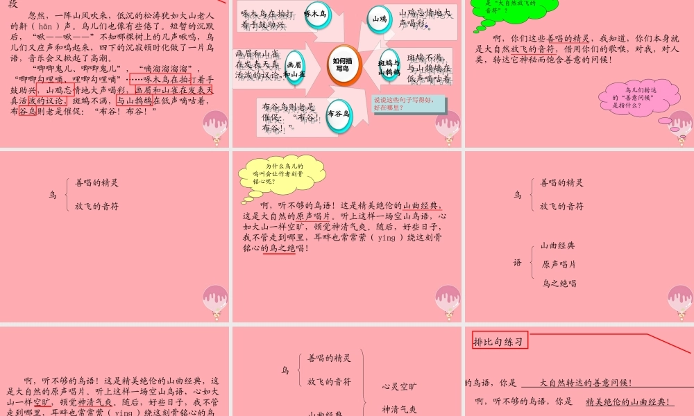 六年级语文上册 第八单元 空山鸟语课件2 湘教版-湘教版小学六年级上册语文课件