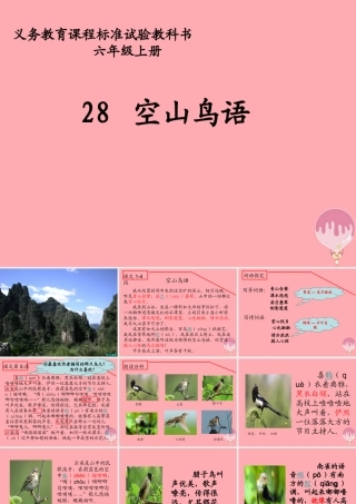 六年级语文上册 第八单元 空山鸟语课件2 湘教版-湘教版小学六年级上册语文课件