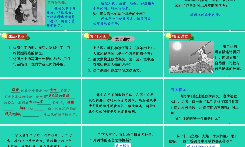 六年级语文上册 第八单元 闰土》课件