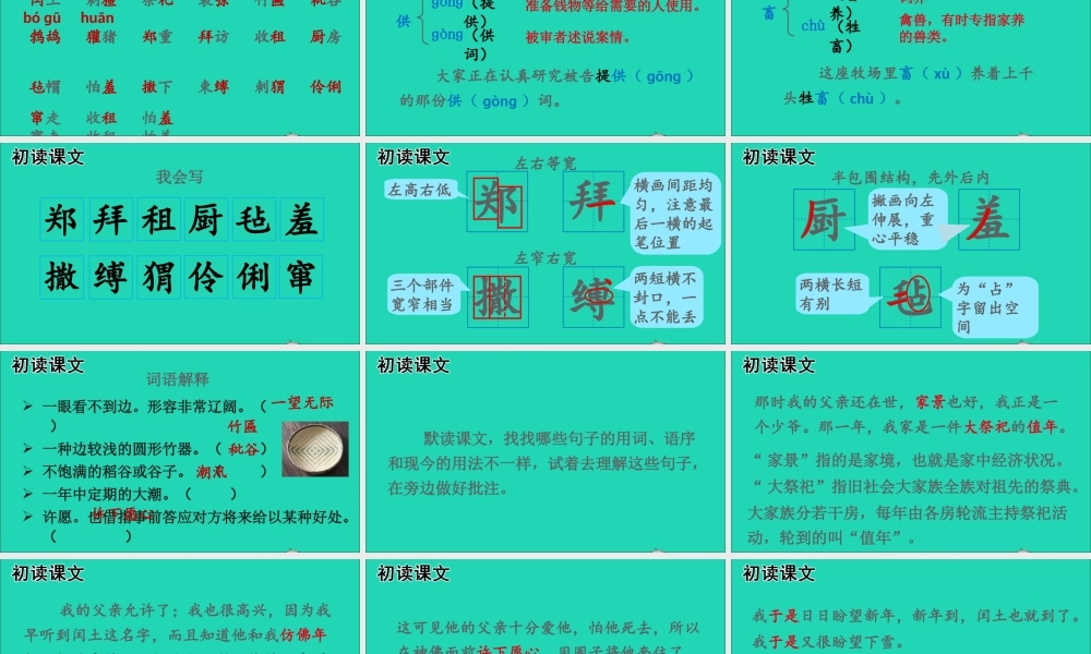 六年级语文上册 第八单元 闰土课件