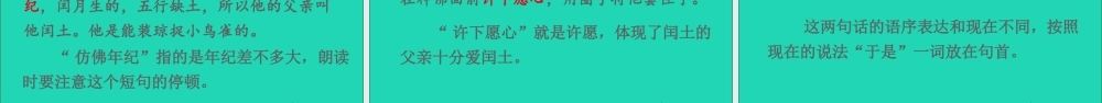 六年级语文上册 第八单元 闰土课件