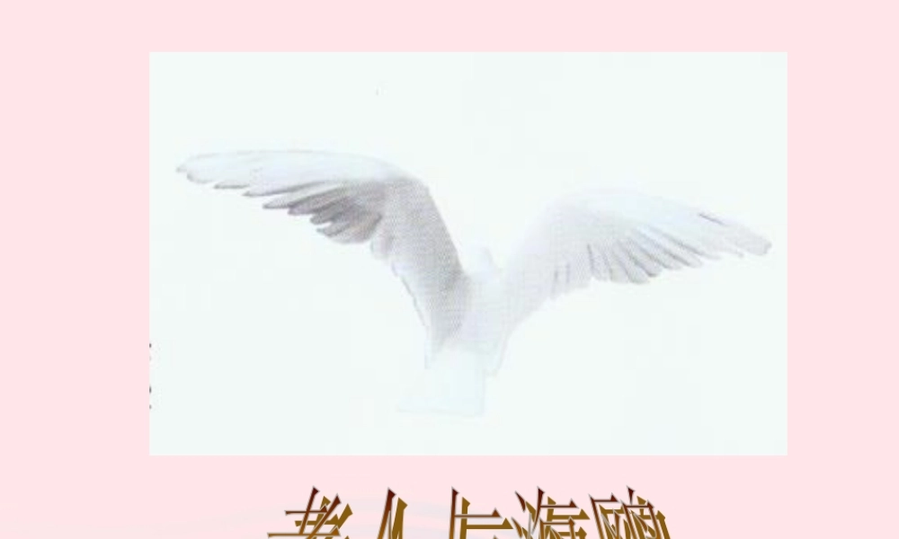 六年级语文上册 第七组 21 老人与海鸥课件4 新人教版-新人教版小学六年级上册语文课件