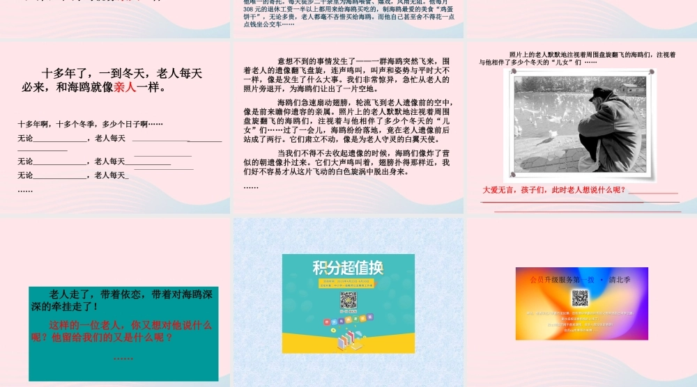 六年级语文上册 第七组 21 老人与海鸥课件4 新人教版-新人教版小学六年级上册语文课件