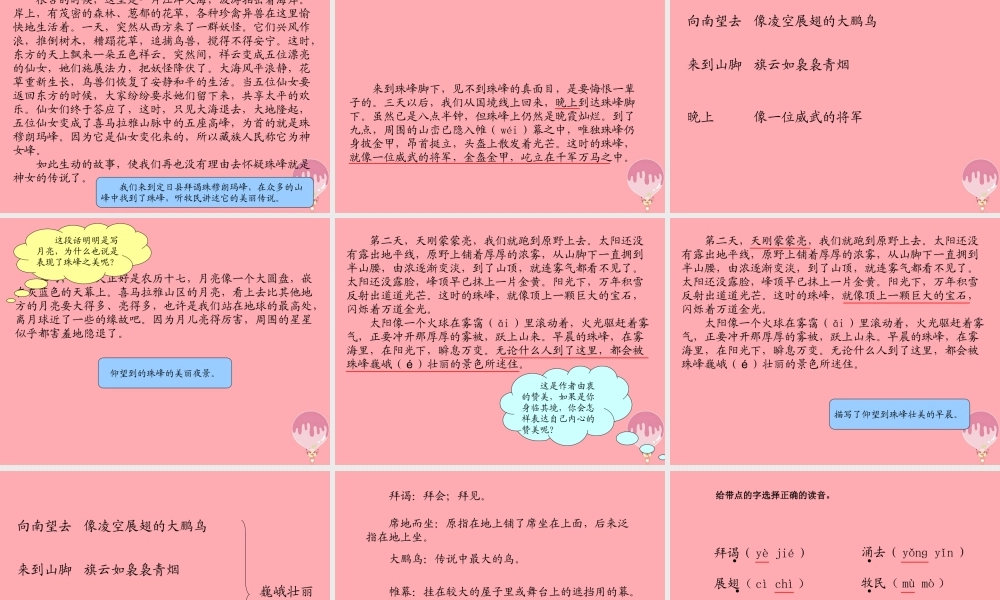 六年级语文上册 第八单元 仰望地球之巅课件2 湘教版-湘教版小学六年级上册语文课件